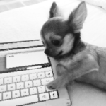 公認会計士 税理士 岡本好生事務所