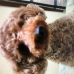 エイトウェーブ