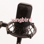 voiceteam songbird メグ