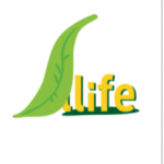 株式会社Lライフ