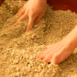 蕎麦打ち道場 庵