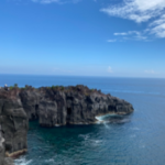 株式会社ランドスケープ