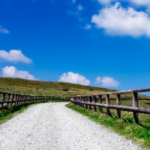 メディール土地家屋調査士法人