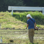 ジョイ フジバヤシ