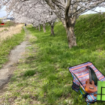 Le*Retro Heart Music