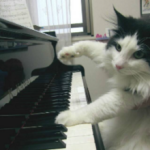 新座 Musica♪6219