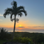 株式会社UPRISING