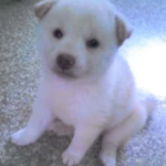 株式会社　ライフフォーム