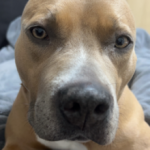 クリエイトプロ