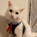 サンシャイン工務店