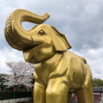 彩徳電気商会(屋号)