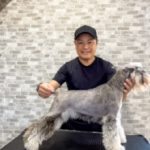 Dog Salon Trim