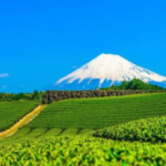 株式会社S•O•N