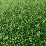 株式会社　細合実業