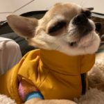 ブラザーズトラスト