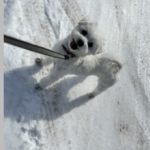 合同会社Y's corporation