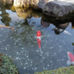 有限会社石井商事