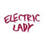 合同会社エレクトリックレディ