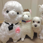 株式会社アクシ・アーク