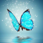 ＲＫシステム株式会社