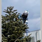 なにわの がんじゃまん