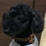 　ハウスクリーニング清匠