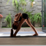 プルナ合同会社