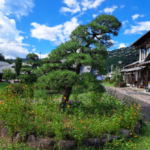 株式会社 TY開発