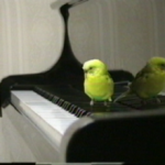 レトルピアノ教室