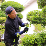 GardenDesignSEALTH(ガーデンデザインシールズ)