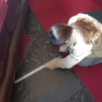 大雅建装工務店