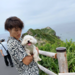 やまぐち ともすけ