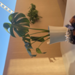 株式会社Mclassic