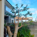 お庭職人の森🌳