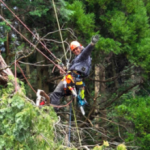 Kテクニカルサービス