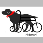 老犬サポート ひだまり