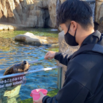 下村 健汰 大阪府大阪市 平野区 ゼヒトモ