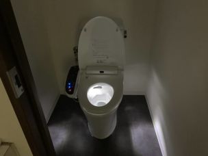 機能性が抗菌性が高いトイレに
自動ライトもついています