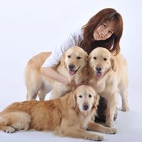 神奈川県横浜市 中区で人気の犬のしつけ教室 ドッグトレーナー12選 21年5月更新 ゼヒトモ Zehitomo 神奈川県横浜市 中区で人気の犬のしつけ教室 ドッグトレーナー12選 21年5月更新 ゼヒトモ Zehitomo