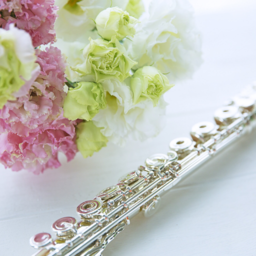 プラム音楽教室