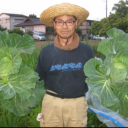 kumapapa 