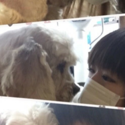 埼玉県鴻巣市で人気のペットのお世話12選 21年2月更新 ゼヒトモ Zehitomo