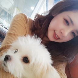 cheap dog sitters near me