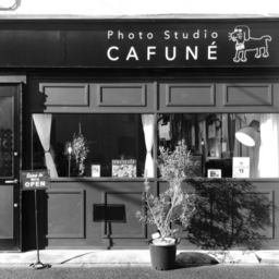 Photo Studio Cafune 東京都墨田区 Zehitomo