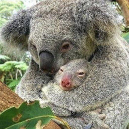 東京都で人気のデザイナー12選 21年3月更新 3ページ目 ゼヒトモ Zehitomo