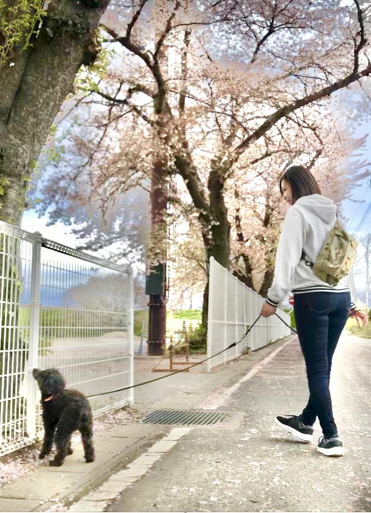 ペットシッター お散歩代行 老犬介護 MuuSun | 福島県郡山市 | ペット