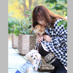 東京都で人気の犬のしつけ教室 ドッグトレーニング12選 21年10月更新 ゼヒトモ Zehitomo 東京都で人気の犬のしつけ教室 ドッグトレーニング12選 21年10月更新 ゼヒトモ Zehitomo