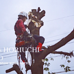 堀内林業's avatar