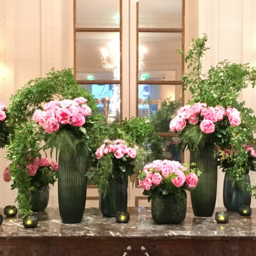 cocoヴァイオリン教室