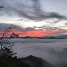 株式会社ディスポーズ・オフ